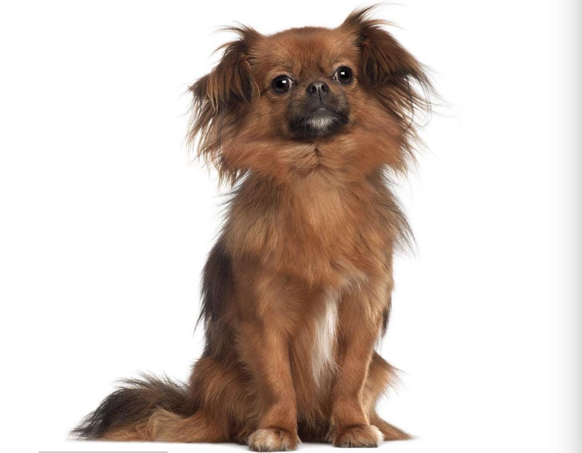 西藏,神秘美丽的雪域秘境