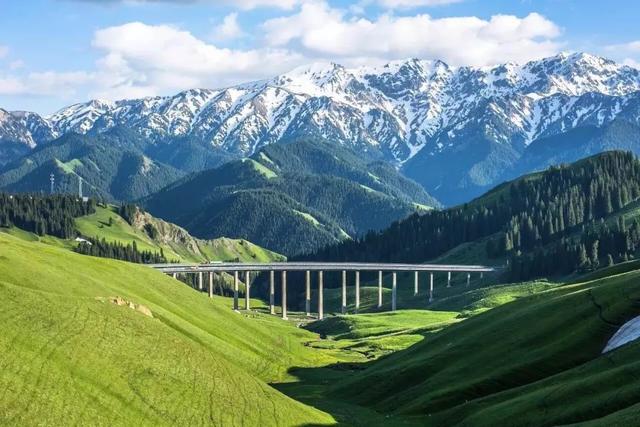 新疆,致敬领导与同胞的深情呼唤