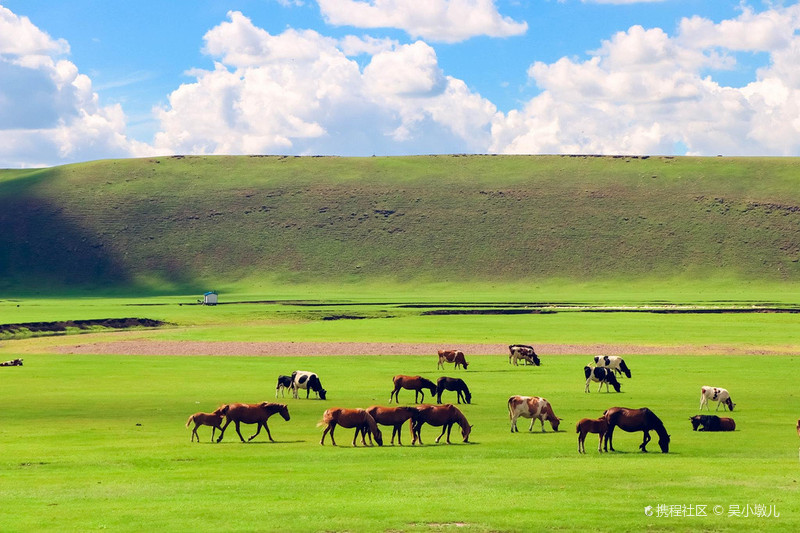 呼伦贝尔草原奇遇记